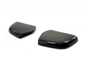 Mercedes Benz SLK Lateral Insert Door Cover - Carbon Fiber - R172